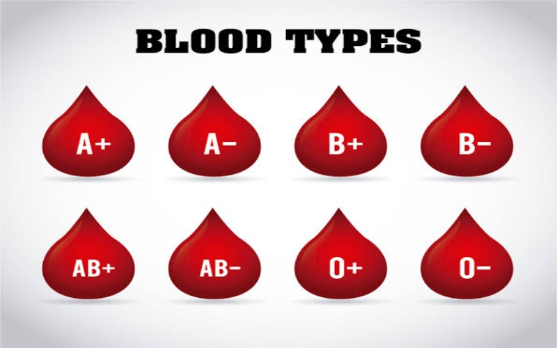 Fakta-fakta Golongan Darah P, Paling Langka di Dunia
