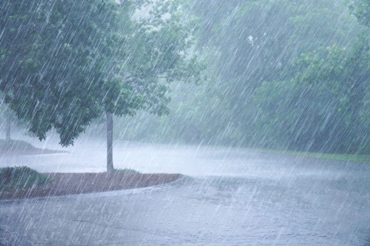 BMKG memprediksi sejumlah wilayah berpotensi cuaca ekstrem berupa hujan lebat, petir, dan angin kencang pada 15-16 Mei 2024.