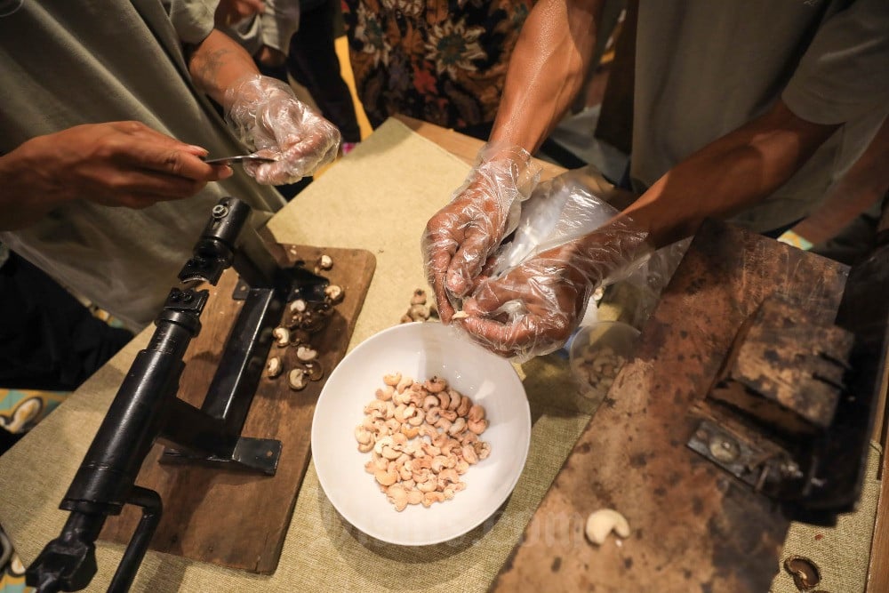 Pelaku UMKM Mete dari Padang Lala, Manggarai Barat mengupas kacang mete dengan kacip dan mesin penjepit. Kacang yang dikupas ini masih harus dibersihkan kulit arinya.