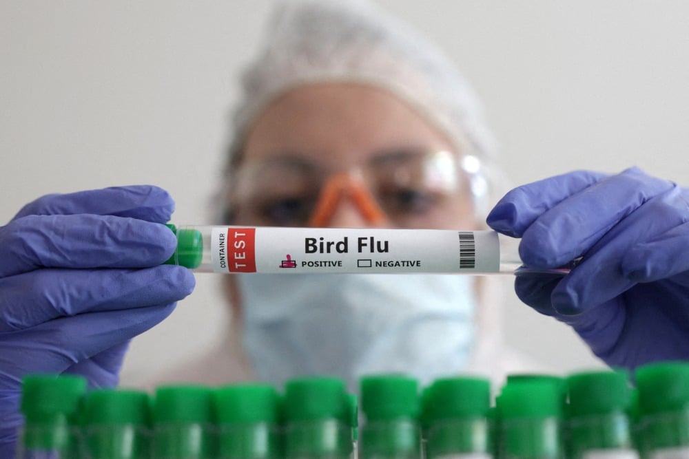 Ilustrasi tabung reaksi berlabel Flu Burung