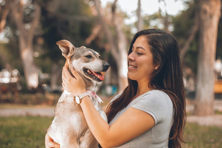 Tips memelihara anjing untuk pemula.